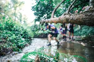 BIB: 
                            <button type="button" onclick="openModal(25451683)" class="btn btn-primary btn-sm float-right btn-popup" data-toggle="modal" data-target=".modal-high-quality">
                        <i class="fas fa-shopping-cart"></i> Add to Cart
                    </button>
                                            <button type="button" onclick="isThisMe(25451683, true)" class="btn btn-success btn-sm float-right btn-popup btn-isme hidden" data-toggle="tooltip" data-placement="bottom" title="นี่คือรูปของคุณใช่ไหม คลิกที่นี่เพื่อเอาเข้าอัลบั้ม">
                        <i class="fas fa-plus"></i> Add to album
                    </button>
                    <button type="button" onclick="isThisMe(25451683, false)" class="btn btn-warning btn-sm float-right btn-popup btn-isnotme hidden">
                        <i class="fas fa-ban"></i> Remove from album
                    </button>